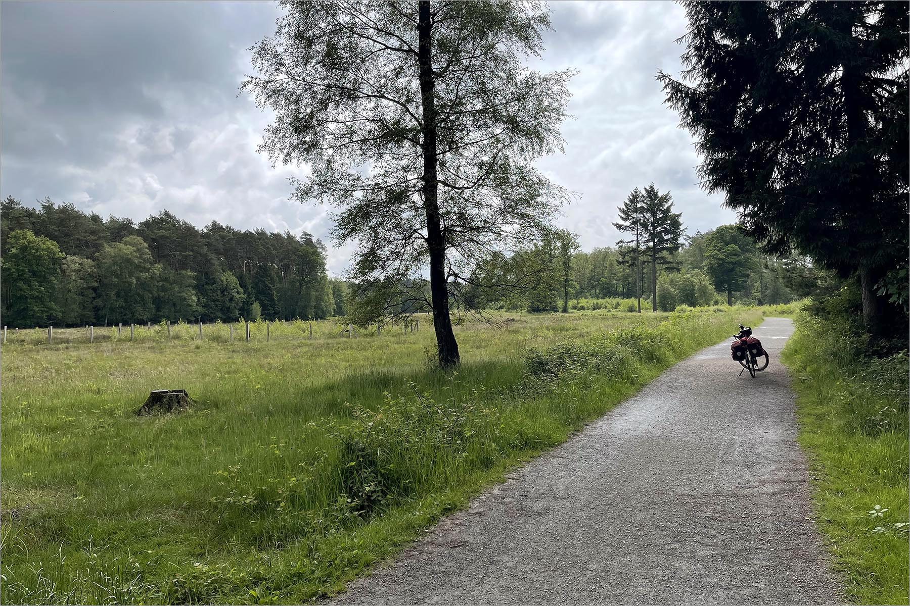 Ohligser Heide